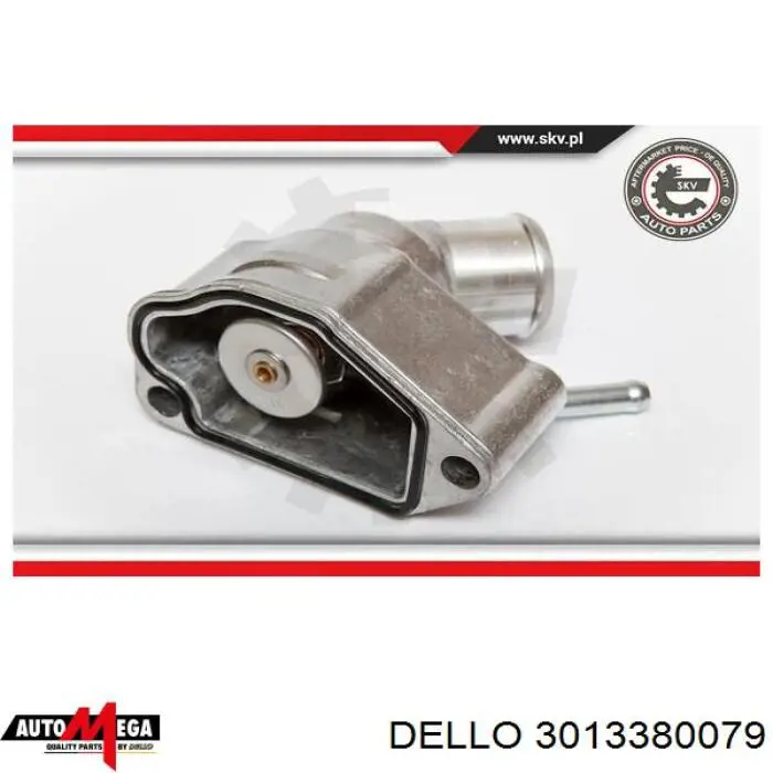 3013380079 Dello/Automega термостат