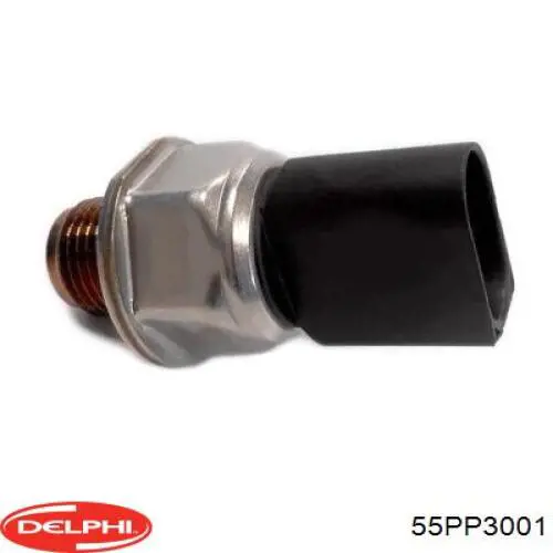  55PP3001 Delphi