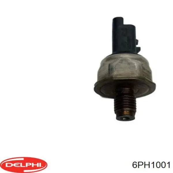  6PH1001 Delphi