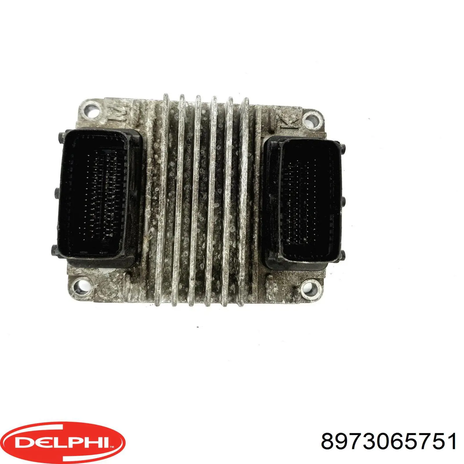 8973065751 Delphi 