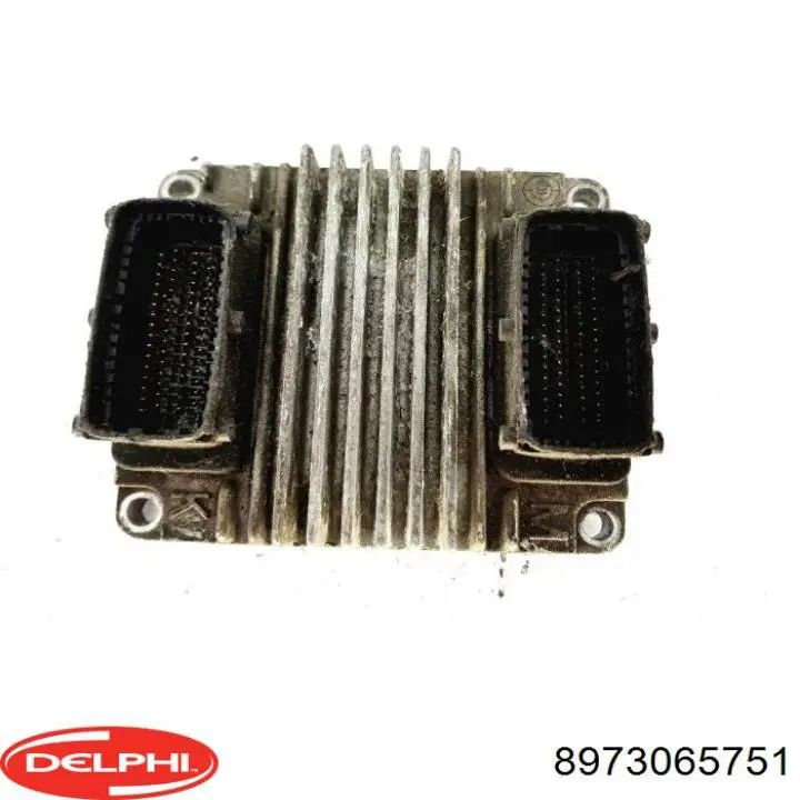  Delphi 8973065751 цена, от 42.18 USD