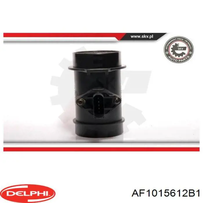Купить AF1015612B1 Delphi Воздухомер