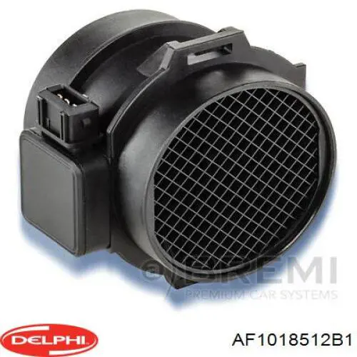 Купить AF1018512B1 Delphi Воздухомер