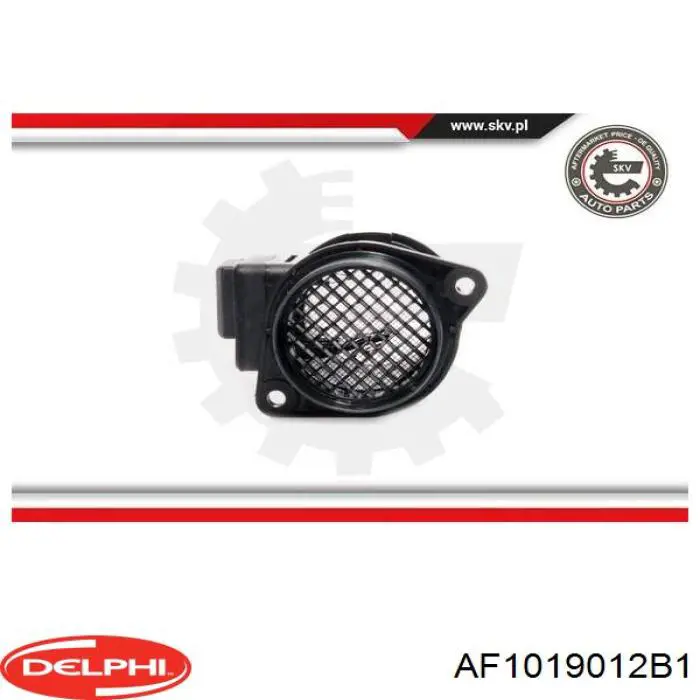 Датчик массового расхода воздуха Delphi AF1019012B1 цена, от 97.19 USD