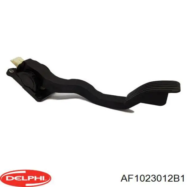 AF1023012B1 Delphi