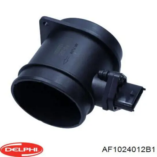 ДМРВ AF1024012B1 Delphi