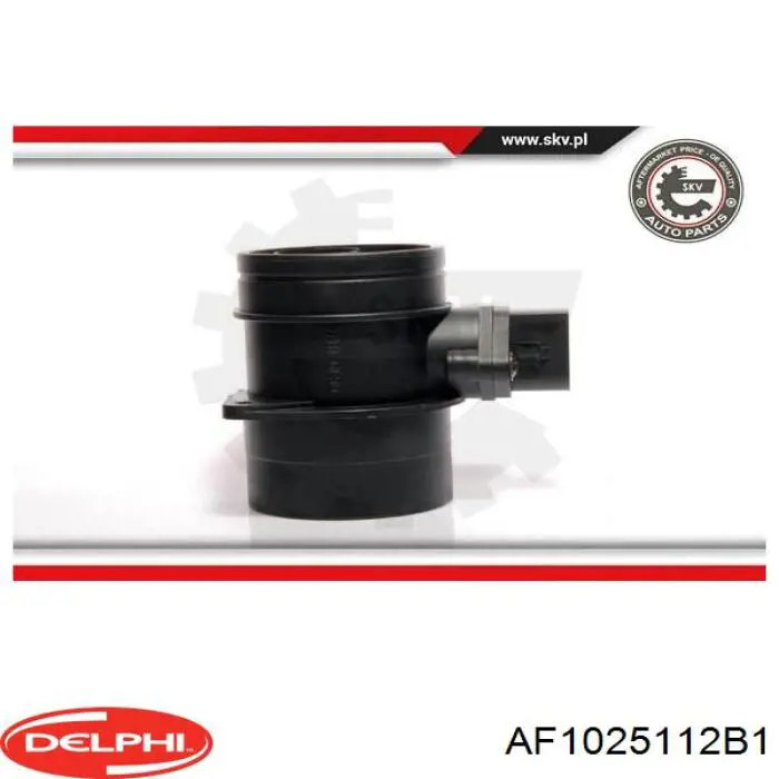 Купить AF1025112B1 Delphi Воздухомер