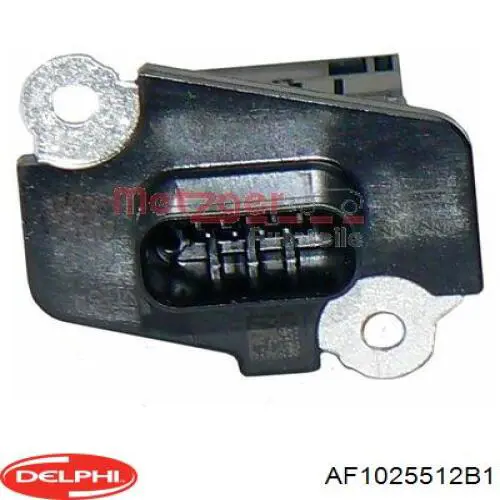 Купить AF1025512B1 Delphi Воздухомер