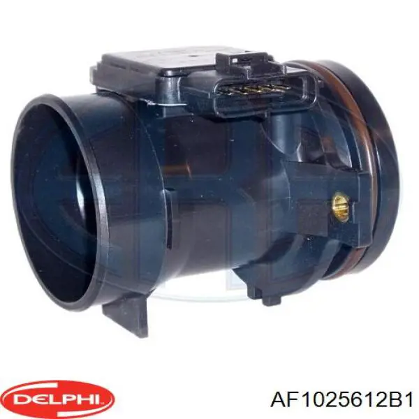 AF10256-12B1 Delphi sensor de fluxo (consumo de ar, medidor de consumo M.A.F. - (Mass Airflow))
