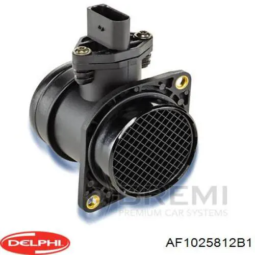AF10258-12B1 Delphi sensor de fluxo (consumo de ar, medidor de consumo M.A.F. - (Mass Airflow))