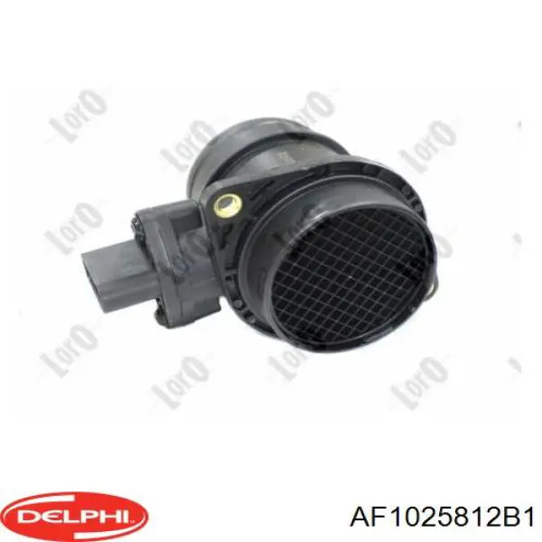 AF1025812B1 Delphi