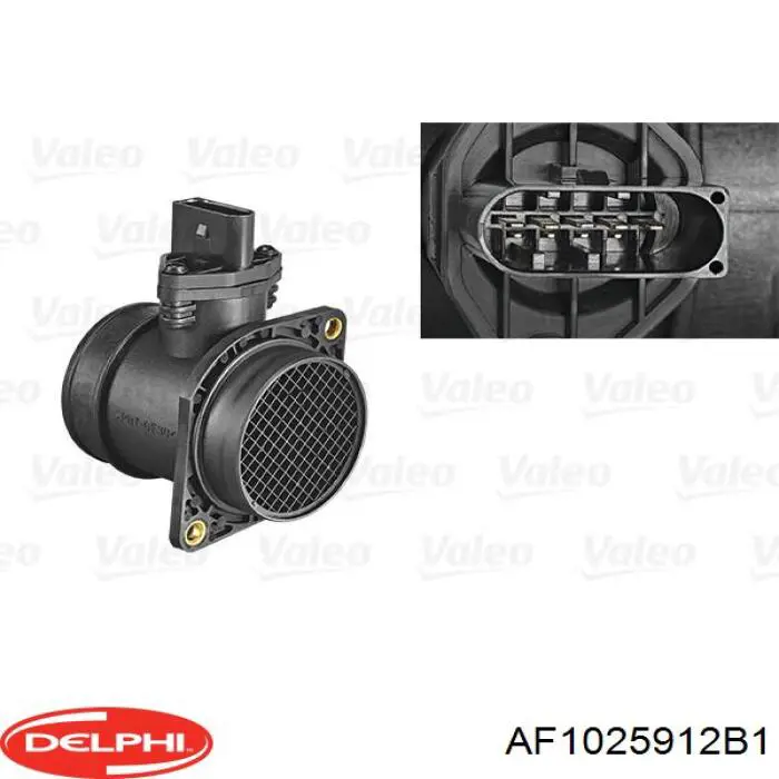 AF1025912B1 Delphi