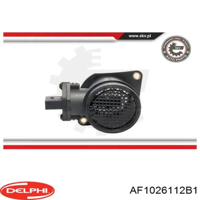 ДМРВ AF1026112B1 Delphi
