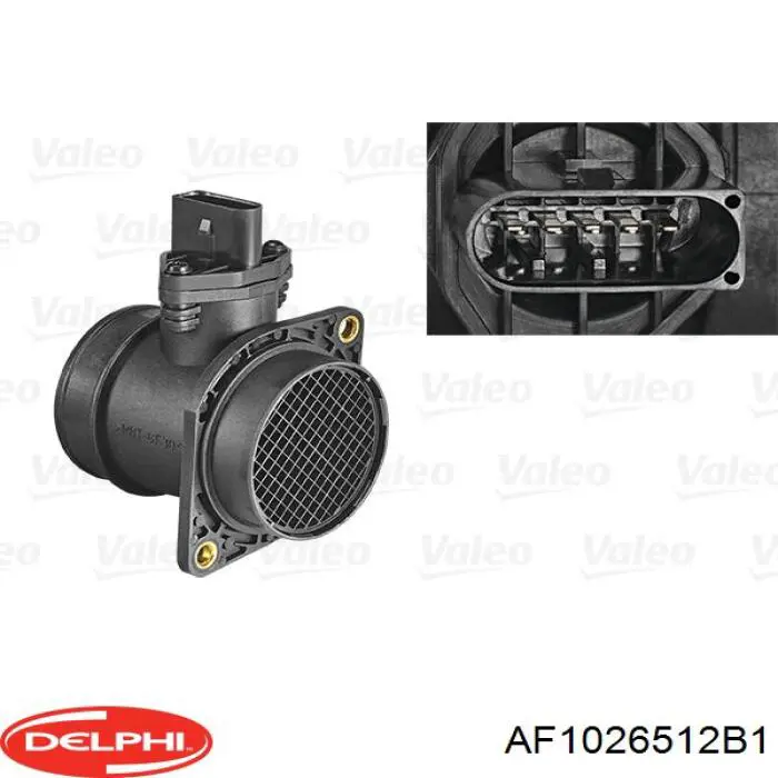 Купить AF1026512B1 Delphi Воздухомер