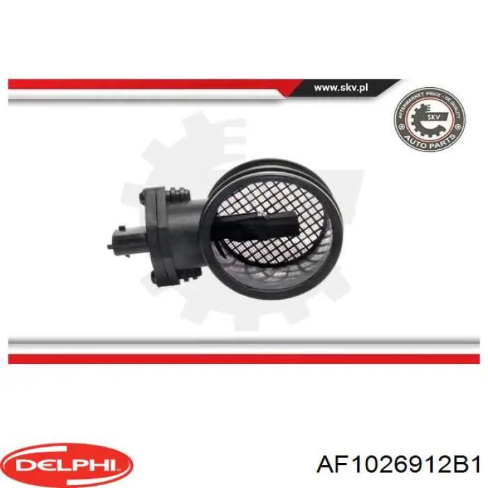 Купить AF1026912B1 Delphi Воздухомер
