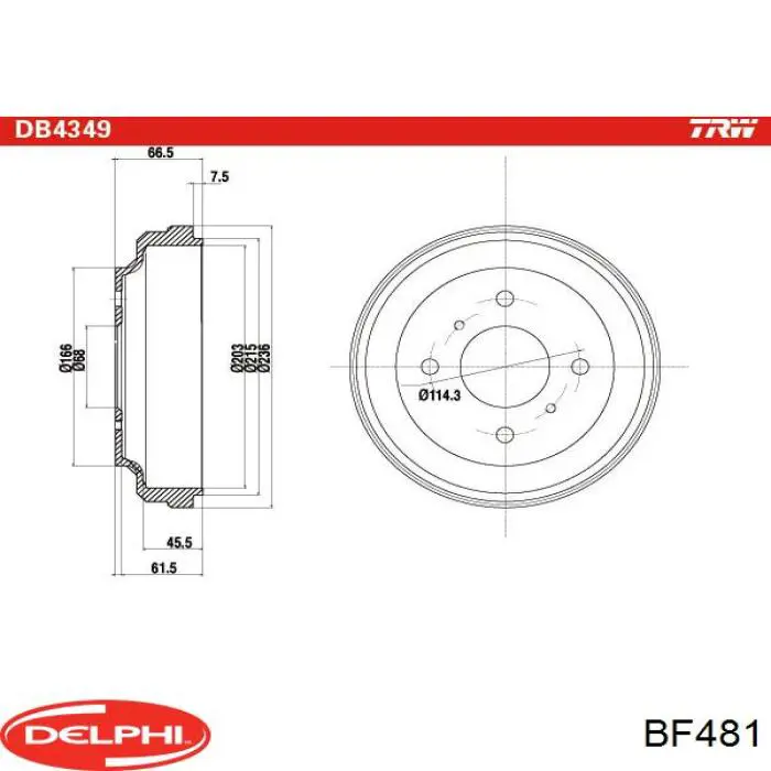 BF481 Delphi