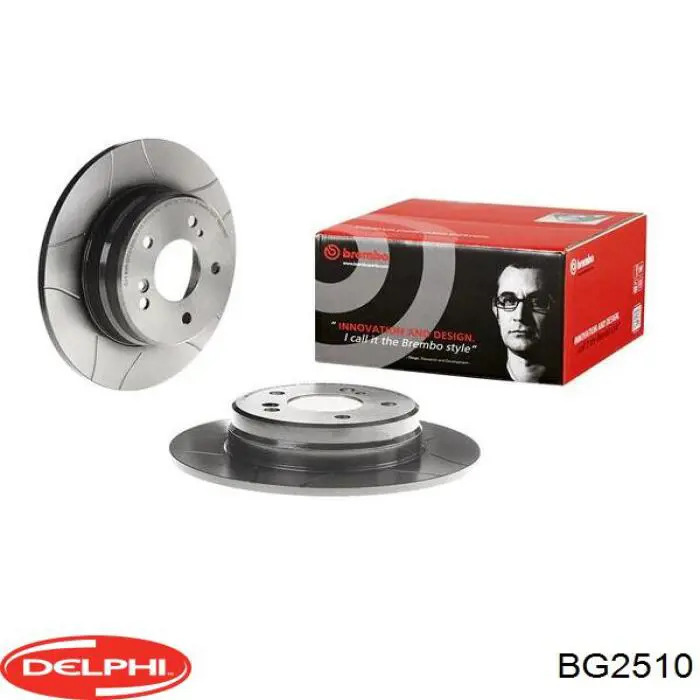BG2510 Delphi диск тормозной задний