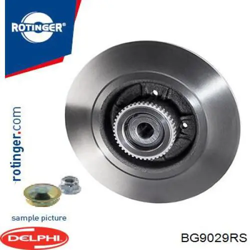 Задний дисковый тормоз Delphi BG9029RS