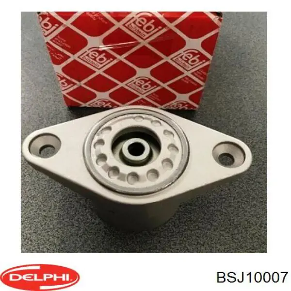 BSJ10007 Delphi