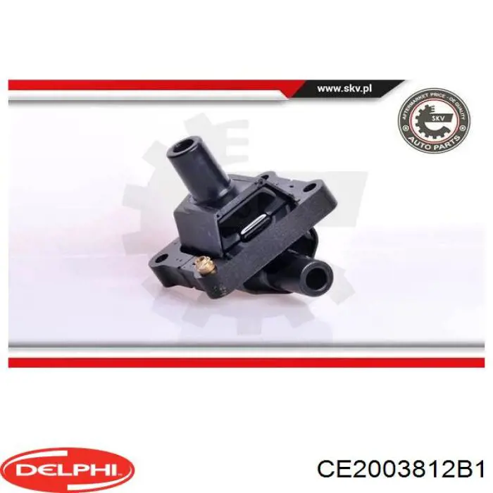 Котушка запалювання CE2003812B1 Delphi