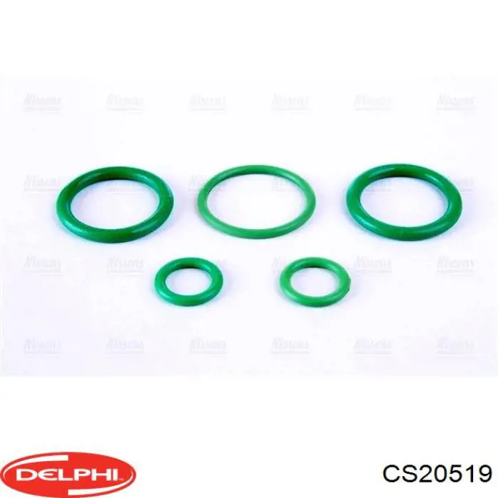 CS20519 Delphi Компрессор хладагента