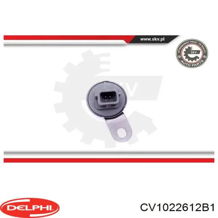 Электромагнитный клапан фазорегулятора Delphi CV1022612B1 цена, от 19.80 USD