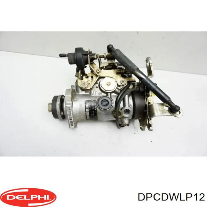  DPCDWLP12 Delphi