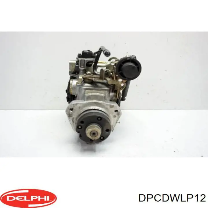 Delphi R202845 DPCDWLP12 Delphi - купить недорого в Украине
