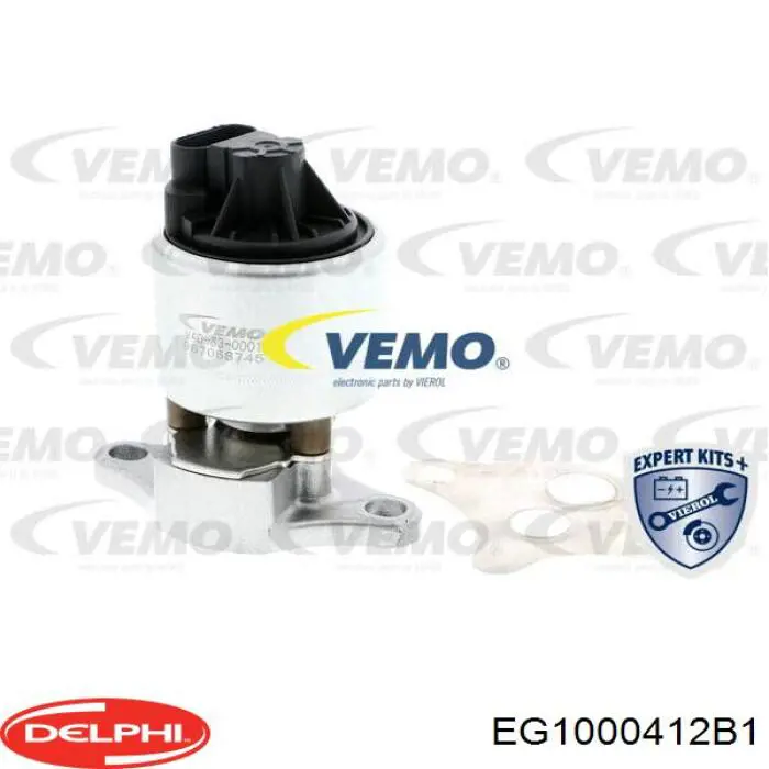 Приборы управления системы рециркуляции Delphi EG1000412B1 цена, от 58.05 USD
