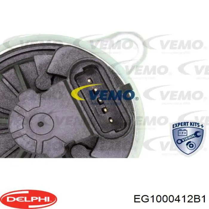 Купить EG1000412B1 Delphi Клапан EGR системы рециркуляции отработавших газов