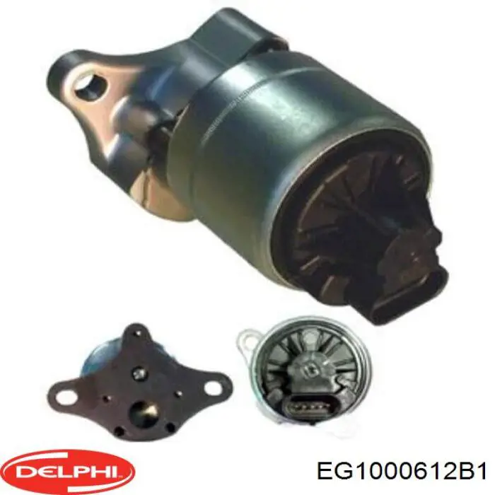 EG1000612B1 Delphi клапан егр