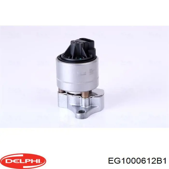 Приборы управления системы рециркуляции Delphi EG1000612B1 цена, от 63.64 USD
