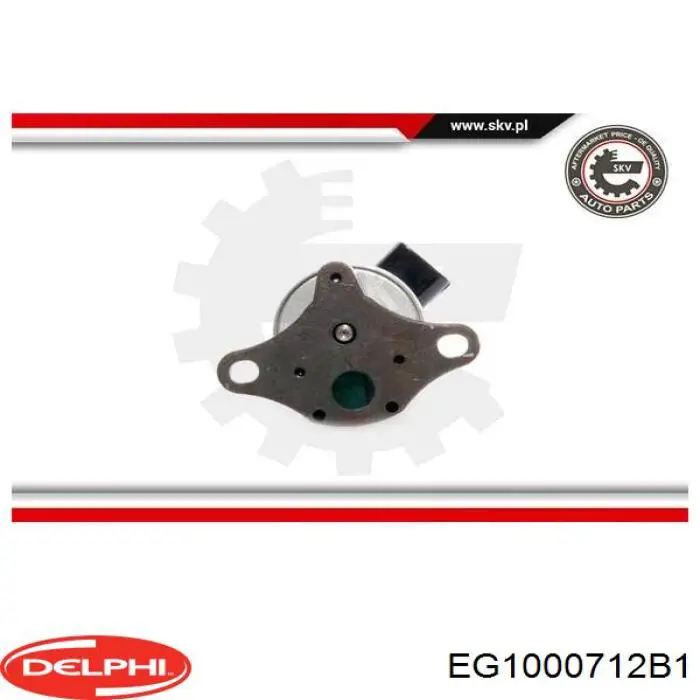 Приборы управления системы рециркуляции Delphi EG1000712B1 цена, от 51.30 USD