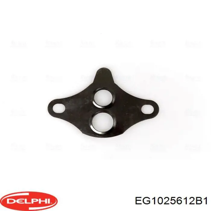 EG1025612B1 Delphi Клапан рециркуляции отработавших газов EGR