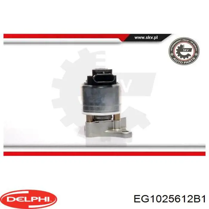 Клапан EGR рециркуляции газов Delphi EG1025612B1