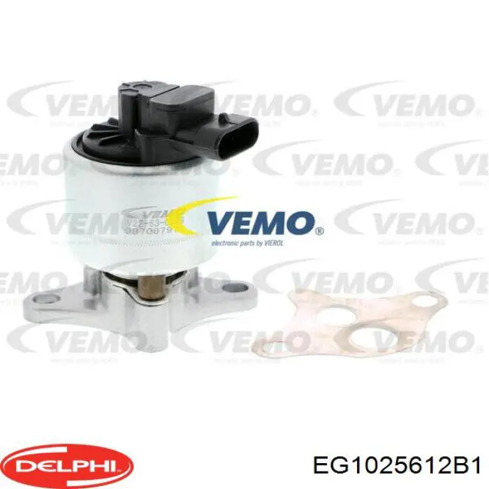 Приборы управления системы рециркуляции Delphi EG1025612B1 цена, от 60.36 USD
