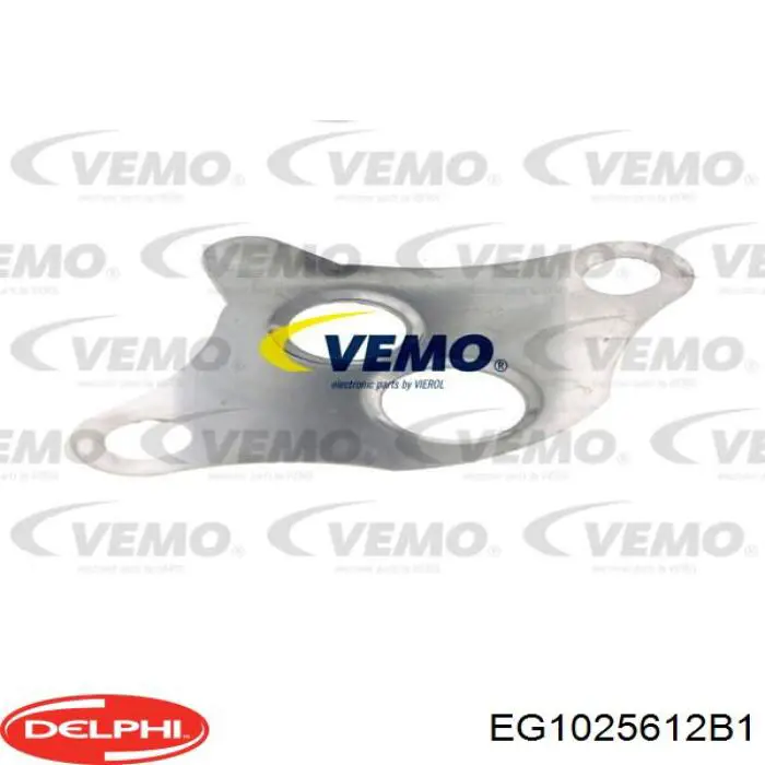 Клапан ЕГР EG1025612B1 Delphi