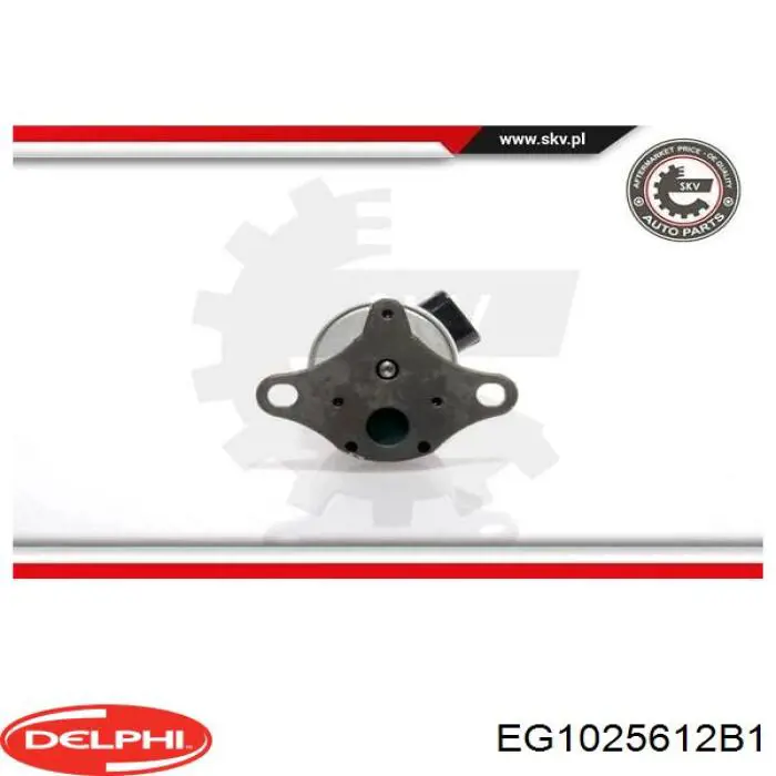 Купить EG1025612B1 Delphi Клапан EGR системы рециркуляции отработавших газов