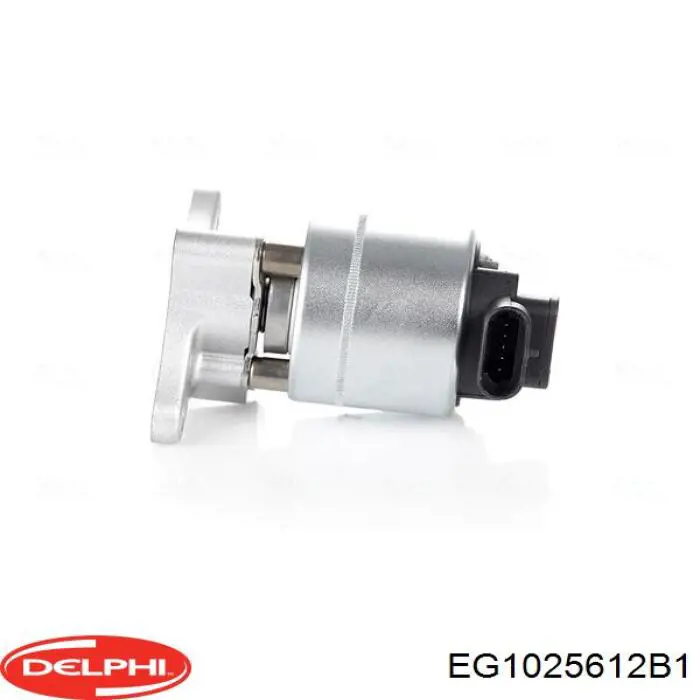 Клапан ЕГР EG1025612B1 Delphi