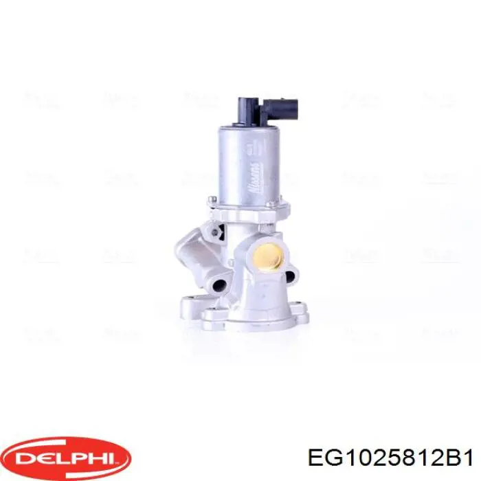 Клапан ЕГР EG1025812B1 Delphi