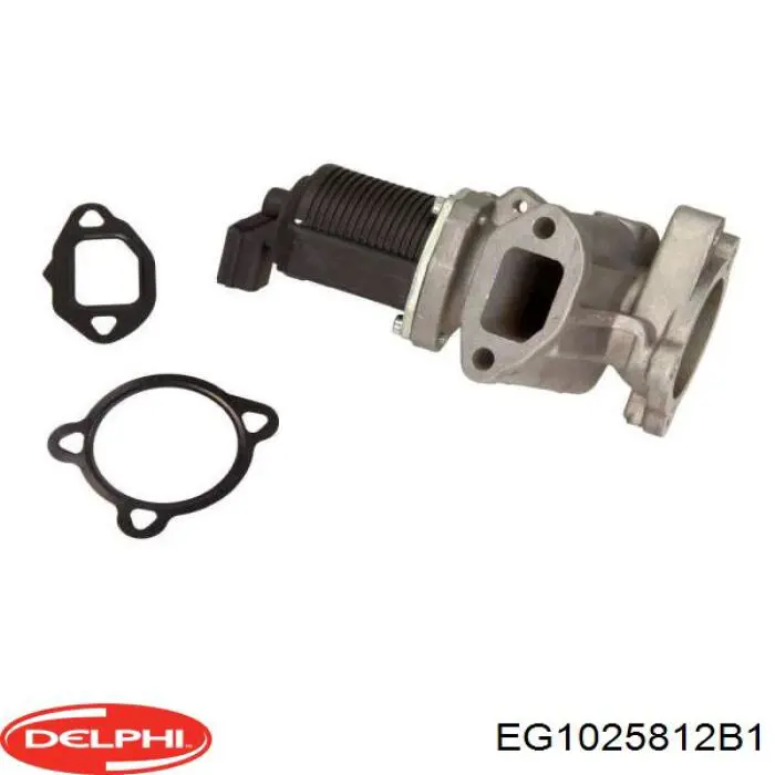 Клапан EGR, рециркуляции газов Delphi EG1025812B1