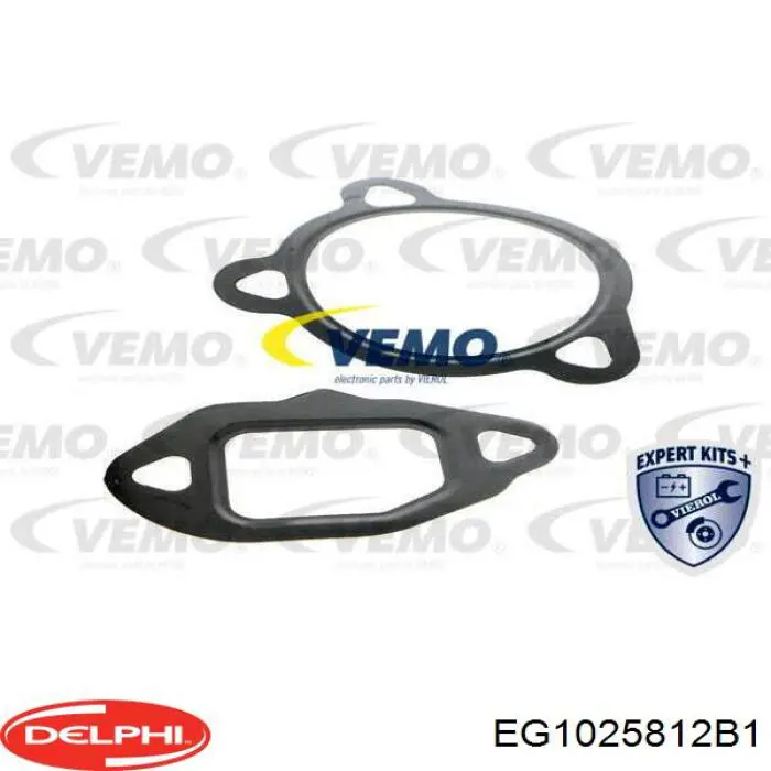 EG1025812B1 Delphi Клапан рециркуляции отработавших газов EGR