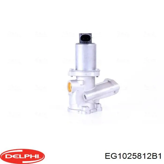 Приборы управления системы рециркуляции Delphi EG1025812B1 цена, от 69.57 USD