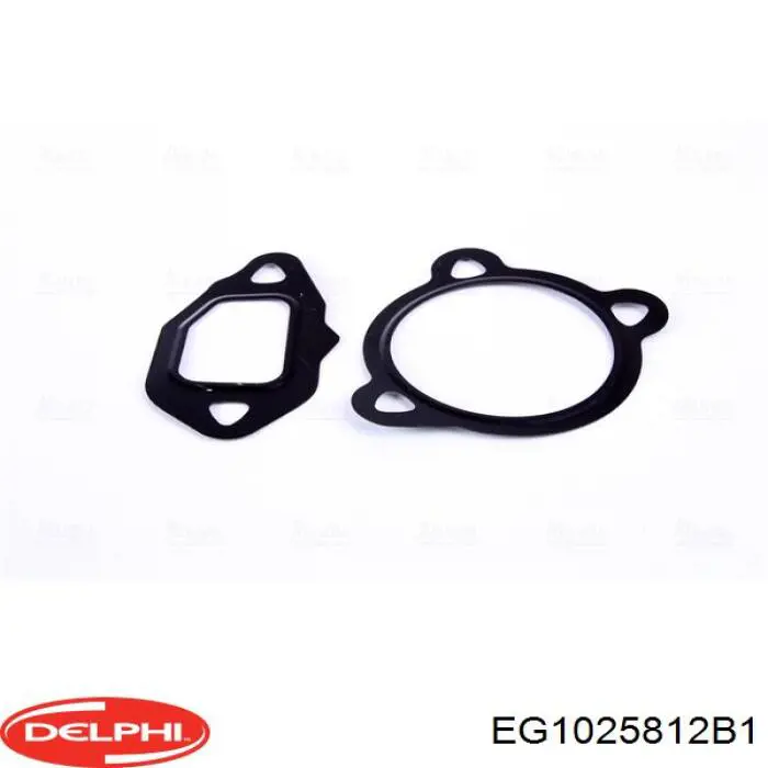 Купить EG1025812B1 Delphi Клапан EGR системы рециркуляции отработавших газов