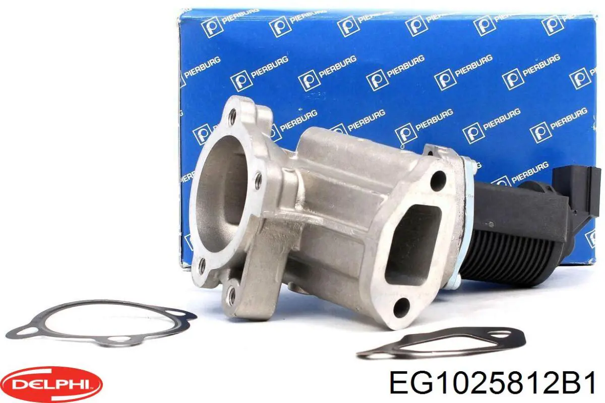 Приборы управления системы рециркуляции Delphi EG1025812B1 цена, от 69.57 USD