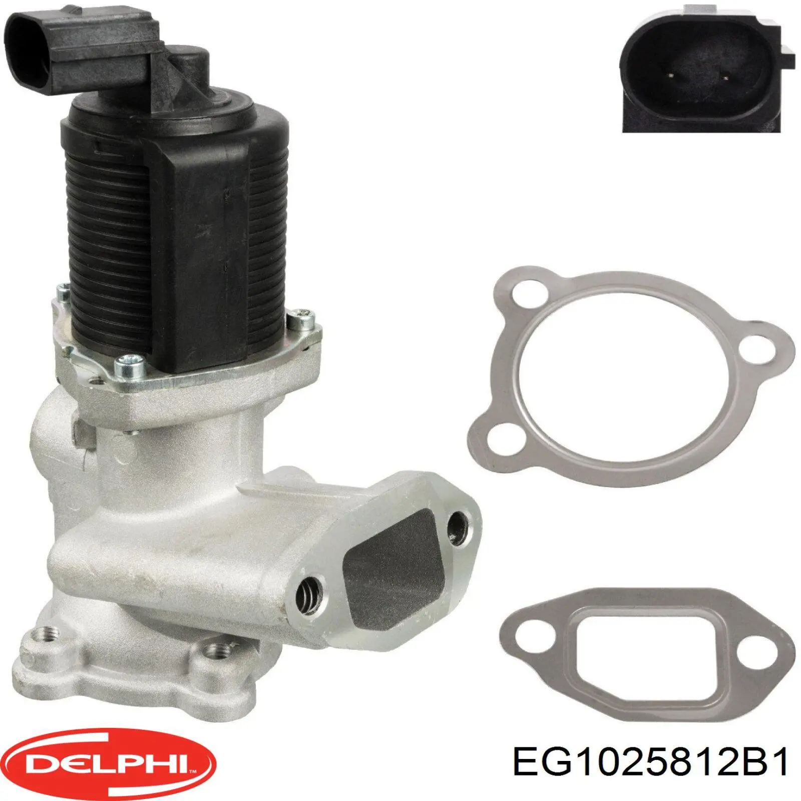 Купить EG1025812B1 Delphi Клапан EGR системы рециркуляции отработавших газов
