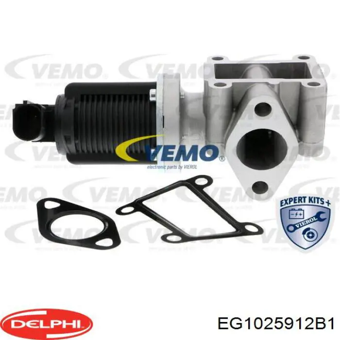 Клапан ЕГР EG1025912B1 Delphi