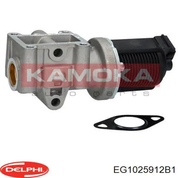 EG1025912B1 Delphi Клапан рециркуляции отработавших газов EGR