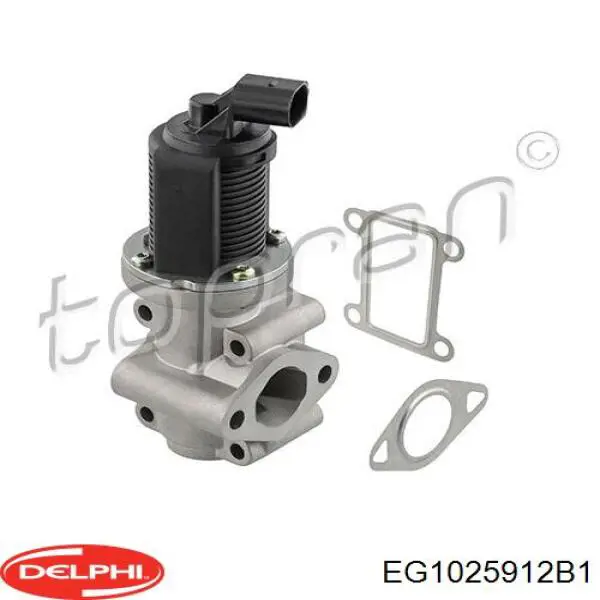 Купить EG1025912B1 Delphi Клапан EGR системы рециркуляции отработавших газов