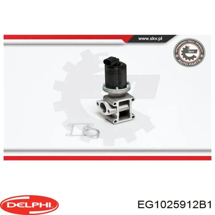 Клапан ЕГР EG1025912B1 Delphi